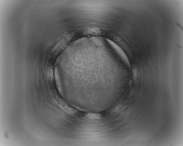 X0000101970617200808011132