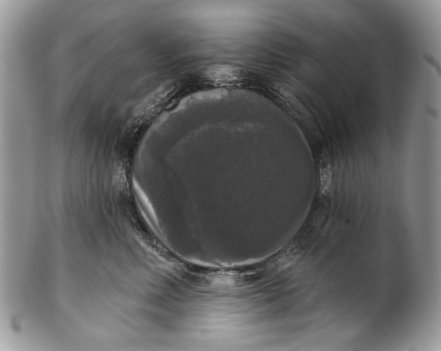 X0000101970618200808011132