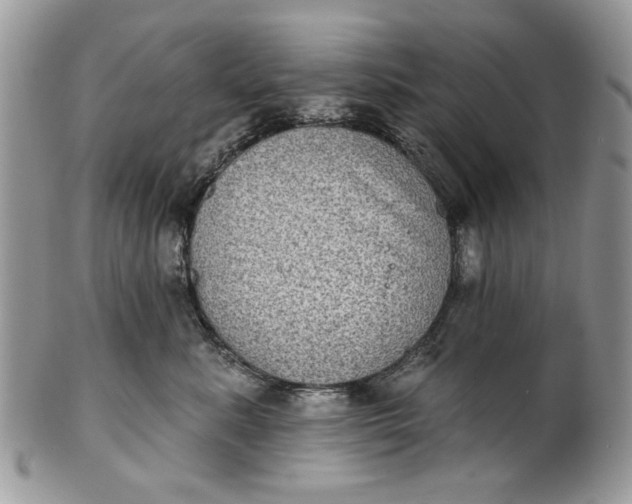 X0000101970619200808011132