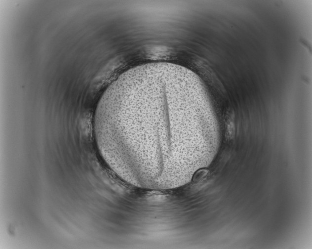 X0000101970620200808011132