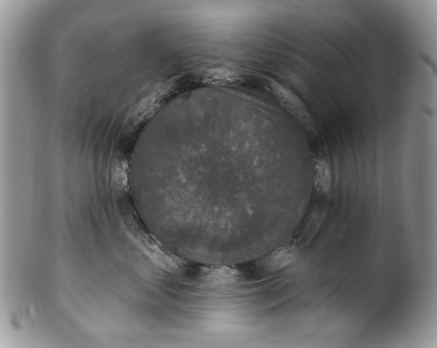 X0000101970621200808011132