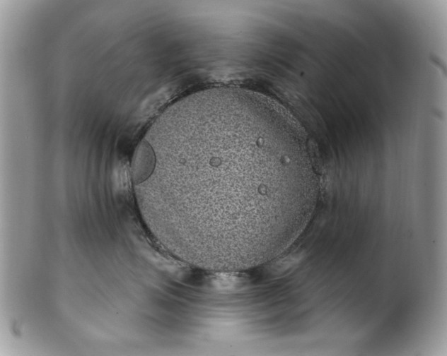 X0000101970623200808011132