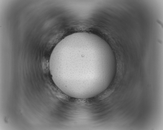 X0000101970624200808011132