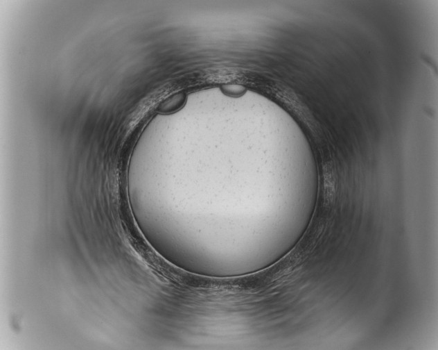X0000101970626200808011131