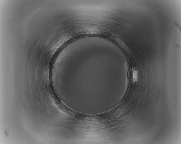 X0000101970627200808011131