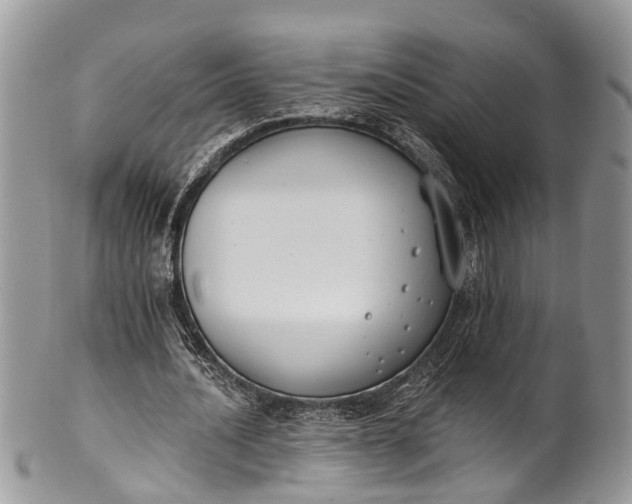 X0000101970628200808011131