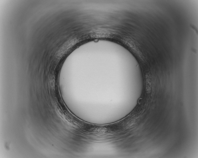 X0000101970631200808011131