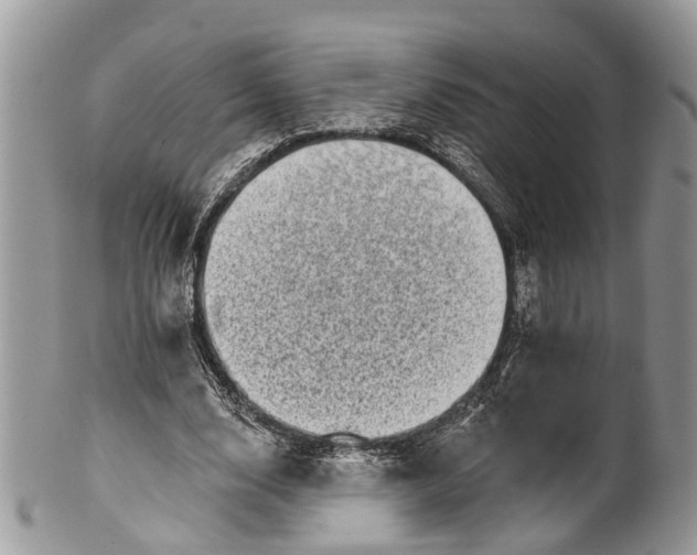 X0000101970632200808011131