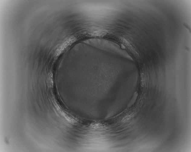 X0000101970634200808011131