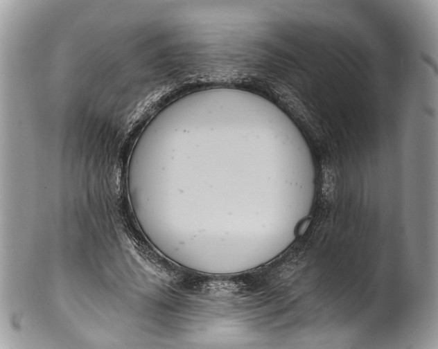 X0000101970636200808011131