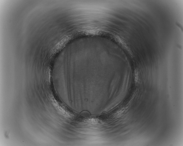 X0000101970637200808011131