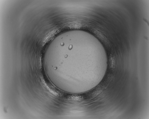 X0000101970638200808011131