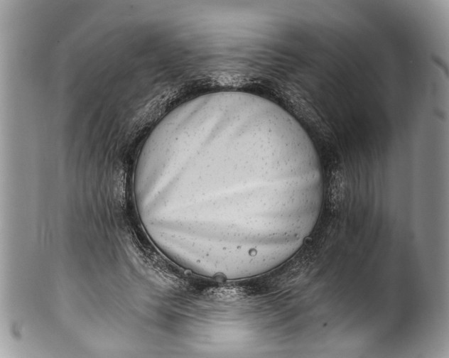 X0000101970639200808011132