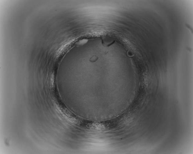 X0000101970640200808011132
