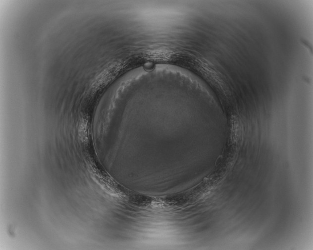 X0000101970641200808011132