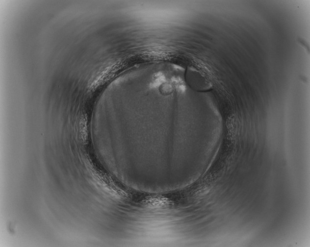 X0000101970642200808011132