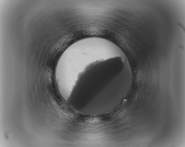 X0000101970643200808011132