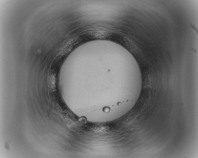 X0000101970646200808011132
