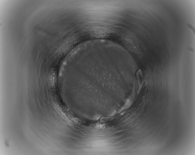 X0000101970647200808011132