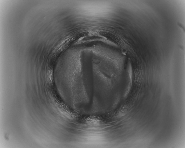 X0000101970648200808011132