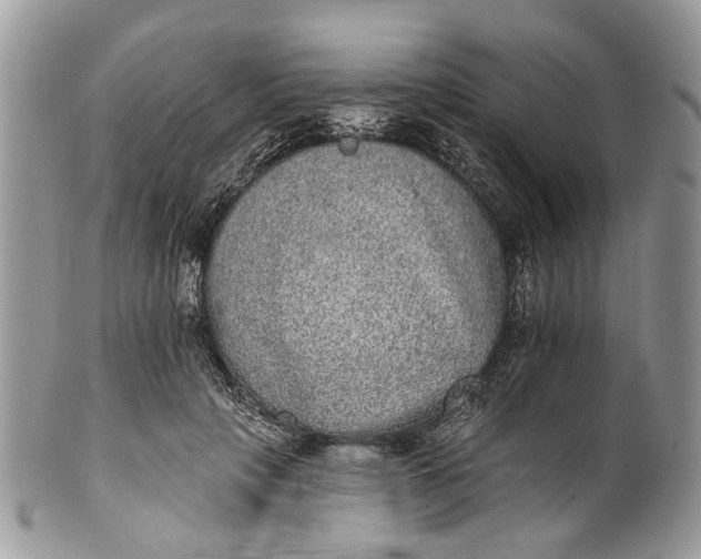 X0000101970649200808011132