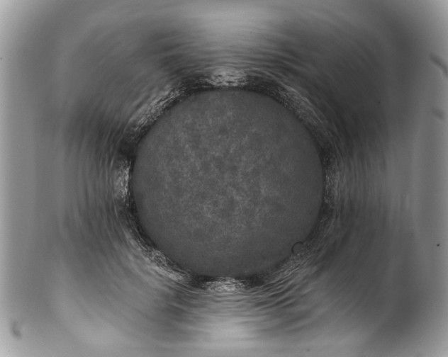 X0000101970652200808011132