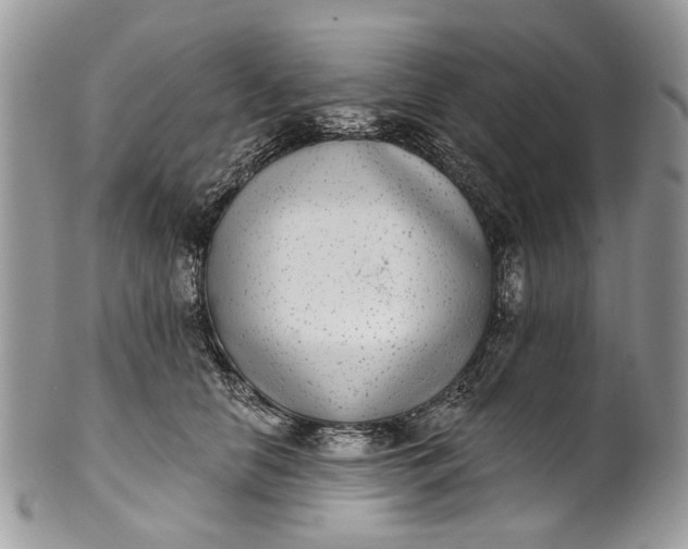 X0000101970658200808011132