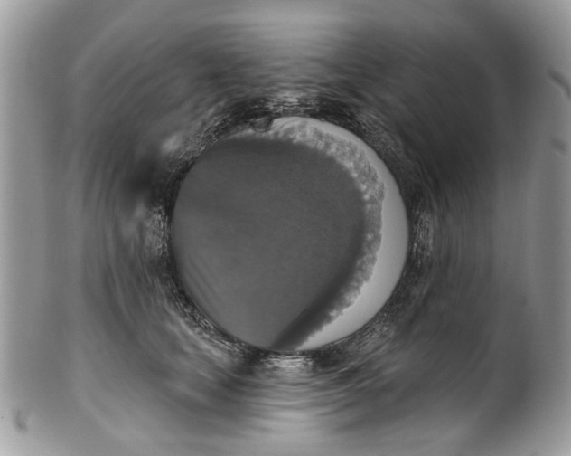 X0000101970659200808011132