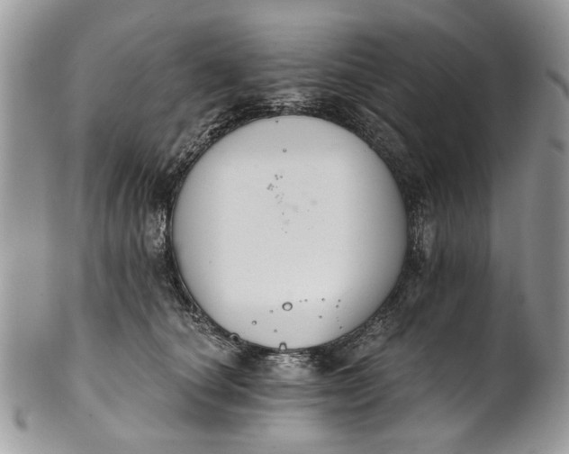 X0000101970660200808011132
