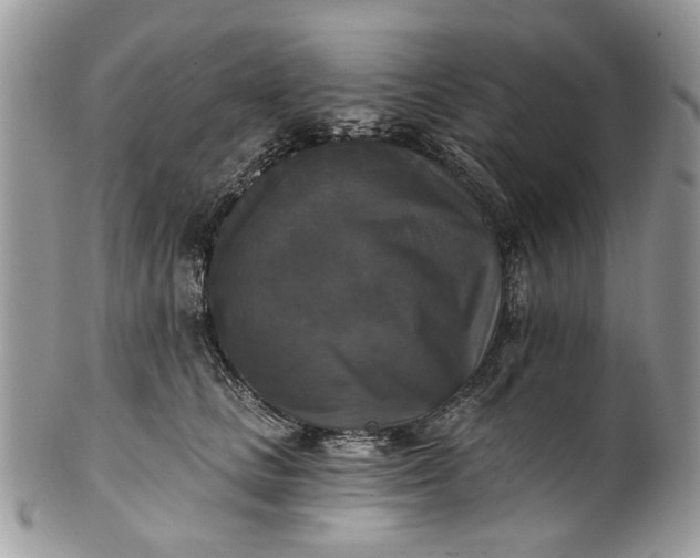X0000101970661200808011132
