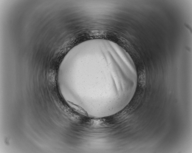 X0000101970662200808011132