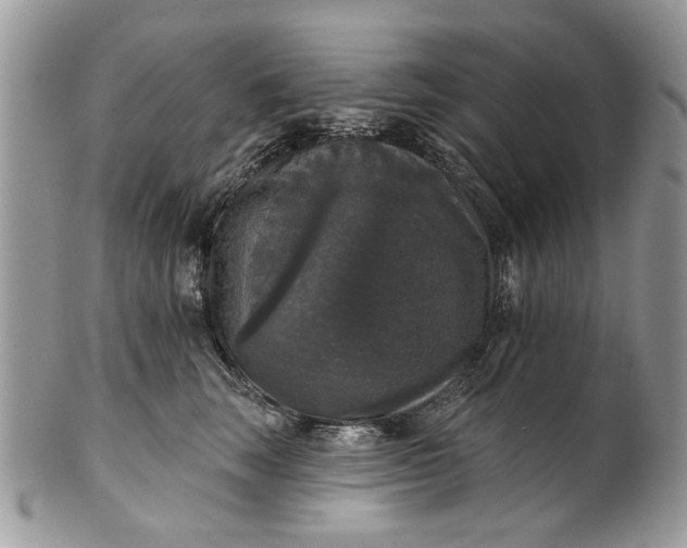 X0000101970663200808011132