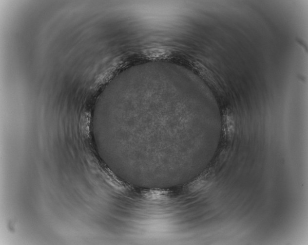 X0000101970664200808011132