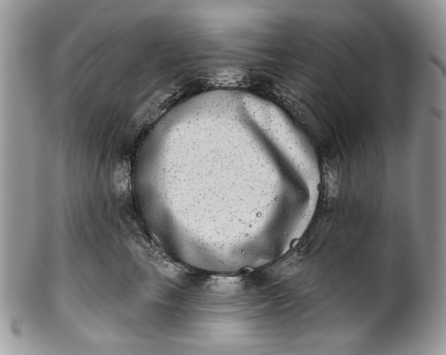 X0000101970665200808011132