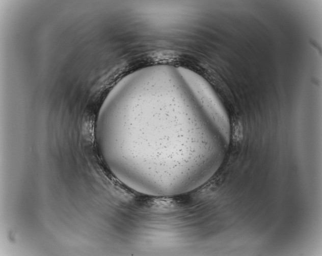 X0000101970666200808011132