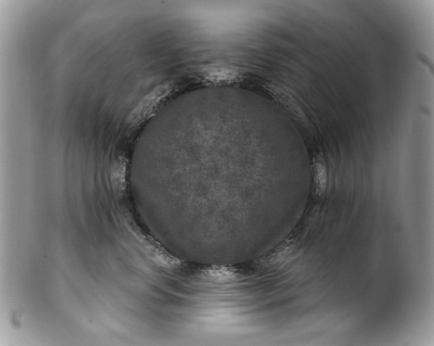 X0000101970668200808011132