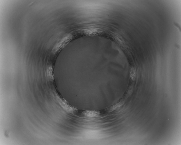 X0000101970670200808011132