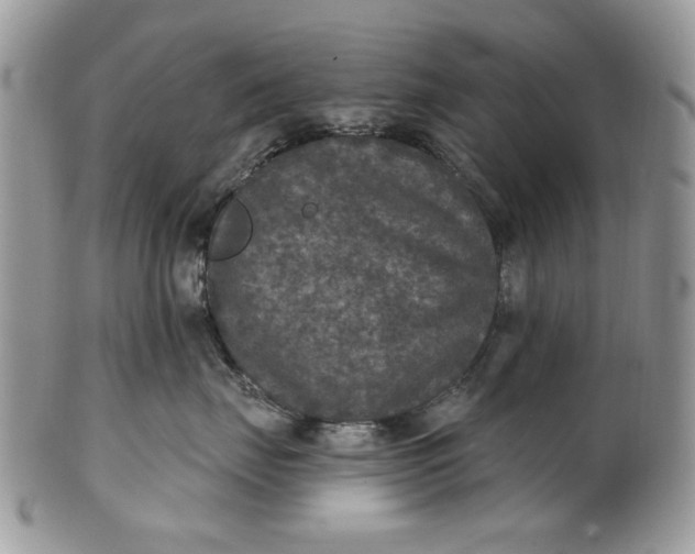 X0000101970671200808011132