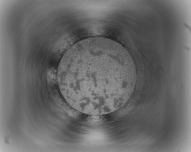 X0000101970672200808011132