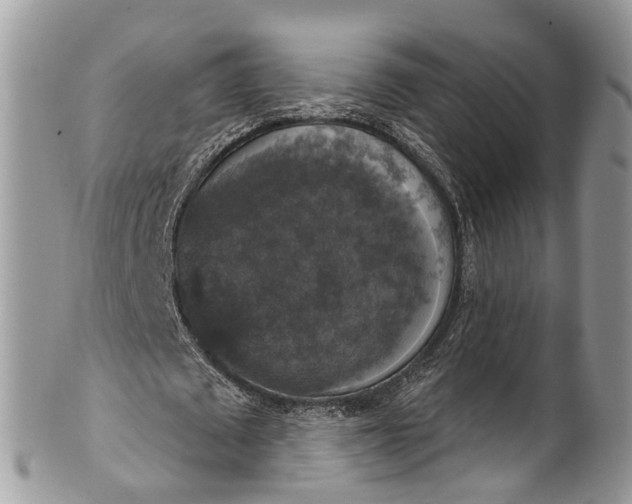 X0000101970673200808011131