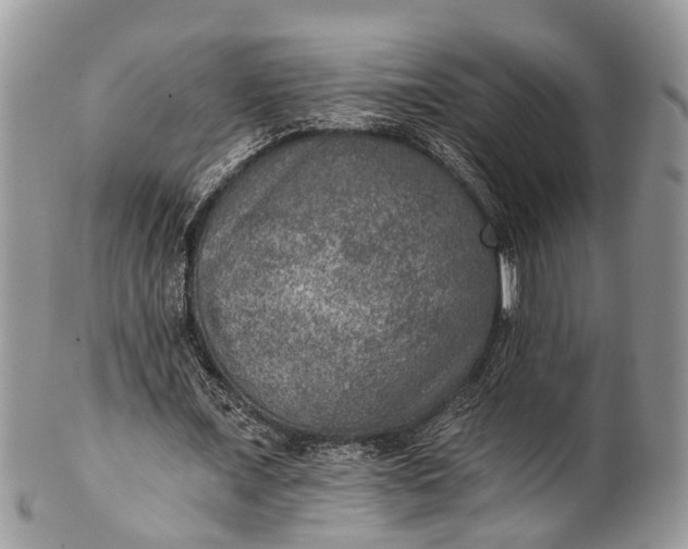 X0000101970675200808011131