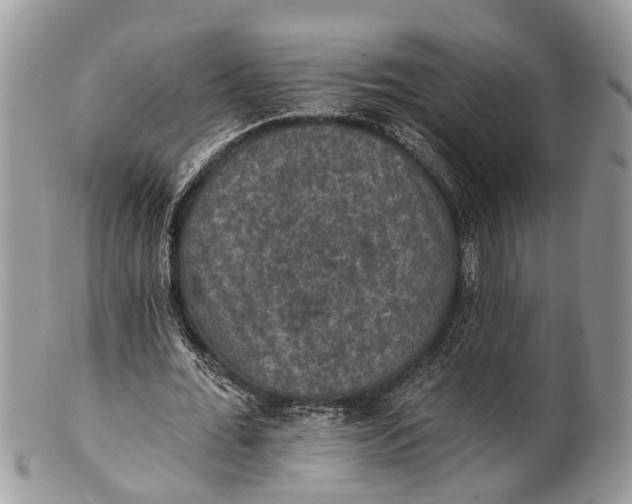 X0000101970676200808011131