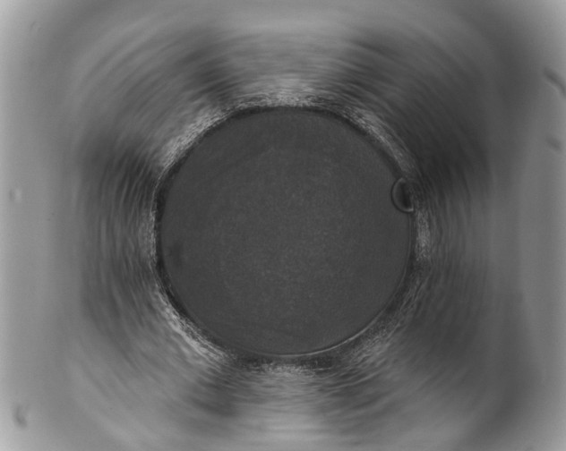 X0000101970677200808011131