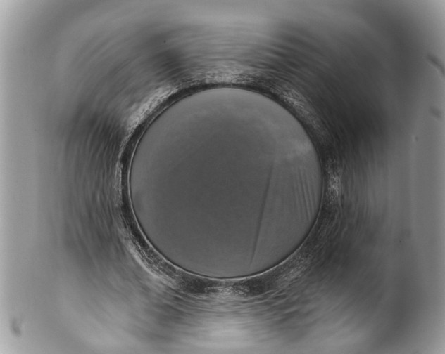 X0000101970678200808011131