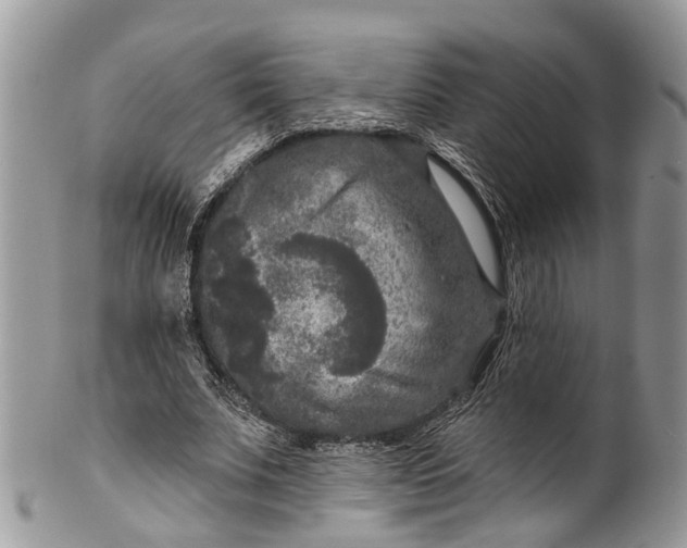 X0000101970679200808011131