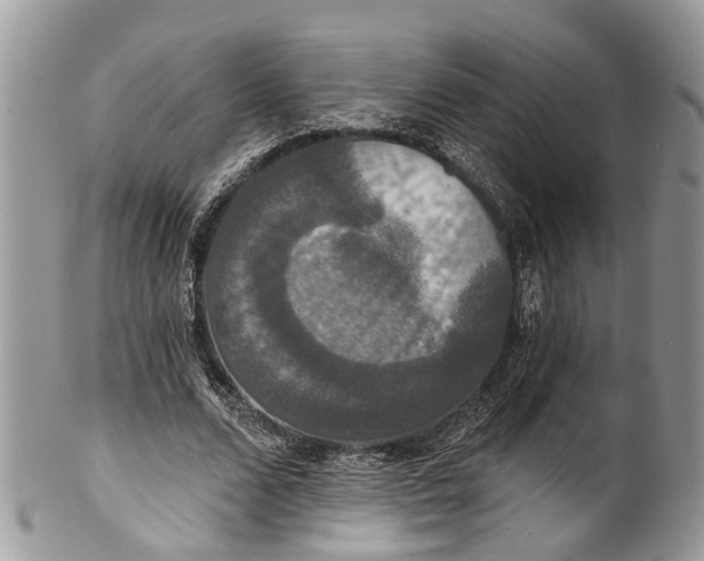 X0000101970680200808011131