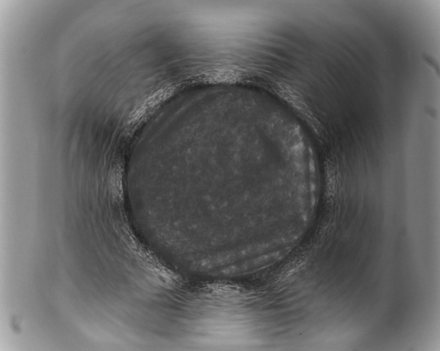 X0000101970681200808011131