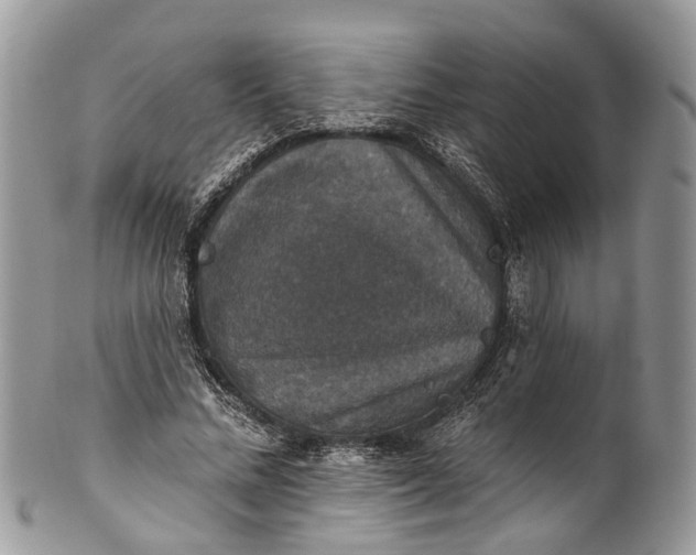 X0000101970684200808011131
