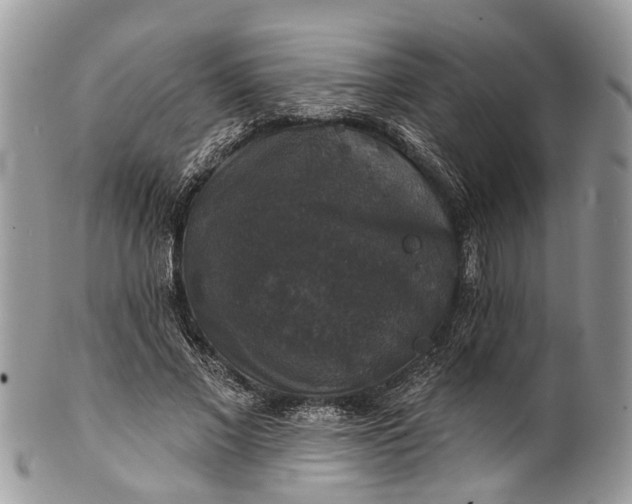 X0000101970685200808011131