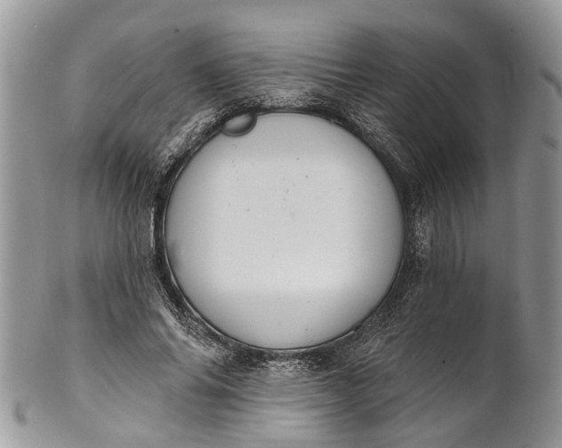 X0000101970686200808011131